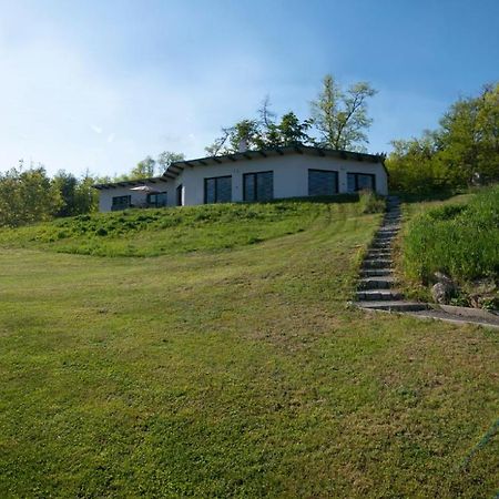 Wellness bungalov - vodní nádrž Slapy - 40km od Prahy Necin Exterior foto