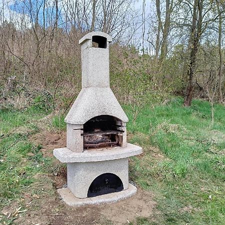 Wellness bungalov - vodní nádrž Slapy - 40km od Prahy Necin Exterior foto