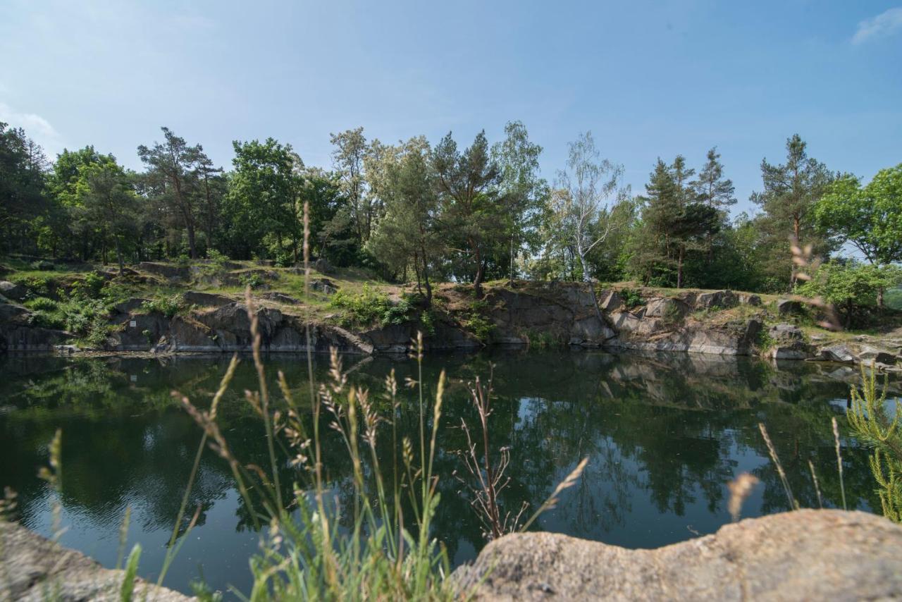 Wellness bungalov - vodní nádrž Slapy - 40km od Prahy Necin Exterior foto