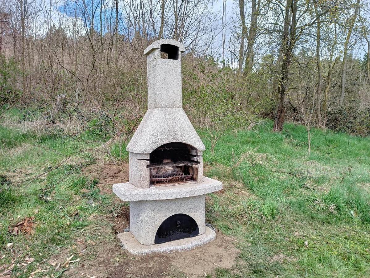 Wellness bungalov - vodní nádrž Slapy - 40km od Prahy Necin Exterior foto